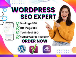 wordpress seo consultant