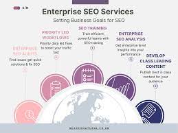 best seo consultant