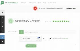 google seo analyzer