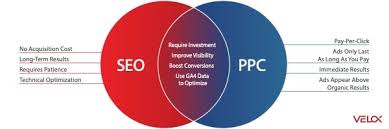 Pay Per Click SEO: How to Combine Paid Search and Organic Growth